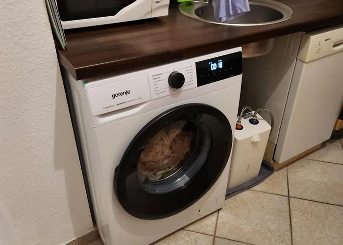 Halle Eg 78 Qm Gms Kueche Bad, Wc Gut Und Guenstig Unsere Sparpreise Sind Verhandelbar Auch Noch Nach Ihrer Buchung * Halle (Saale)